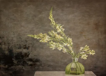 Rustikt blomsterstilleben