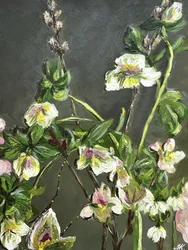 Yndefulde vinterblomster