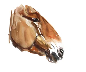 Ancient Head (Przewalski) 2012, (akvarel på papir)
