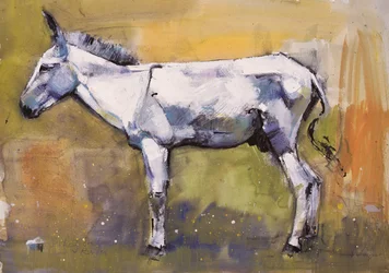 Æselhingst, Ronda, 1998
