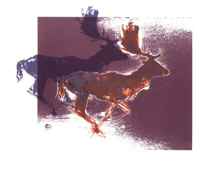 Fallow Bucks (orangelilac), 2015, (skærmtryk)