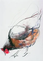 Feeding Hen, Trasierra, 1998 (grafit, conte og trækul på papir)