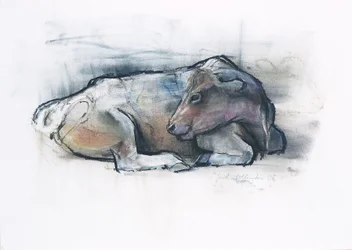 Galloway, 2006 (charcoal und conte på papir)