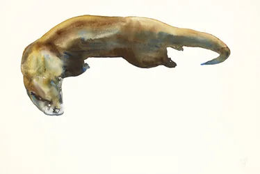 Guld, akvarel på papir (2014)