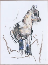 Ibex Kid (trækul og conte på papir)