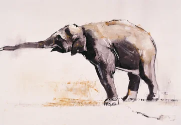Indisk elefant, Khana