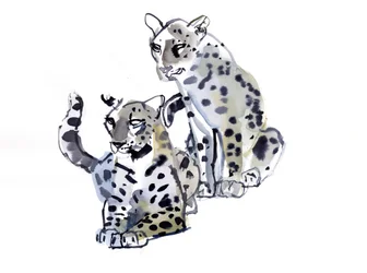 Mor og søn (arabiske leoparder), 2008