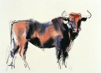 Red Bull, 1998 (grafit, conte og trækul på papir)