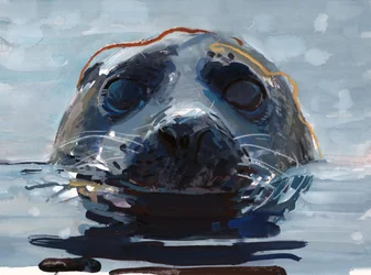 Rød tang, gul tang, 2023