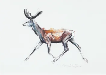 Running Stag i fløjl, Polsen, 2006 (charcoal und conte på papir)