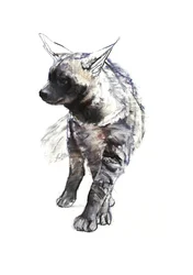 Striped Hyena Pup, 2010, (conté og pastel på papir)