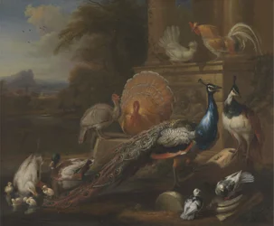 Påfugle, duer, kalkuner, høns og ænder ved en klassisk ruin