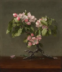 Æbleblomster, 1873.