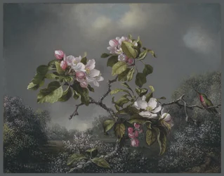 Æbleblomster og kolibri, 1871