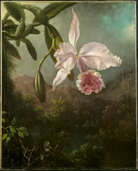 Orkidéblomster, 1873.