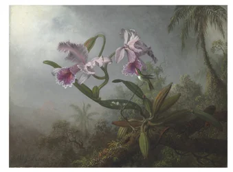 Lyserøde orkideer og kolibri på en kvist, 1875