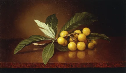 Tropiske blommer,
