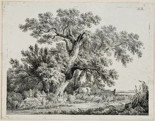 landskab