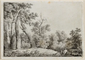 landskab