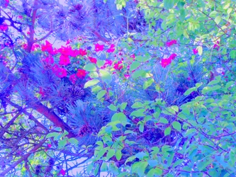 Planter