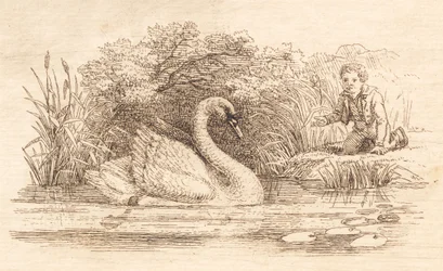 Illustration til "Halvhundrede Fabler for Børn" af Hey