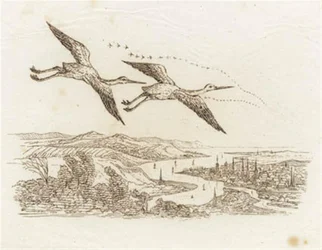Illustration til "Halvhundrede Fabler for Børn" af Hey