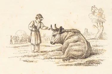 Illustration til "Halvhundrede Fabler for Børn" af Hey
