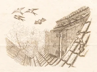 Illustration til "Halvhundrede Fabler for Børn" af Hey