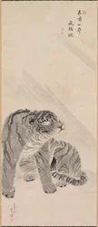 Tiger i blæst og regn