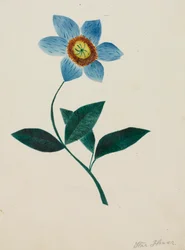 Stjerneblomst.