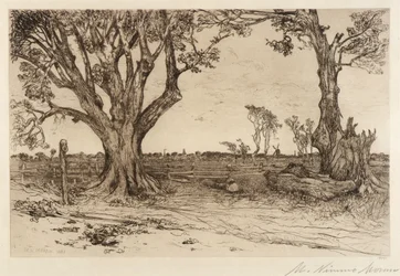 Old Lindens - nær Easthampton