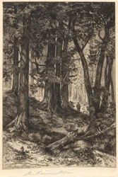 Uden titel (Skovscene)