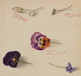 Uden titel - Blomsterstudie, 1873.