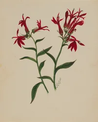 Uden titel - Blomsterstudie, 1876.