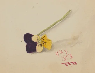 Uden titel stedmoderblomst, 1873.