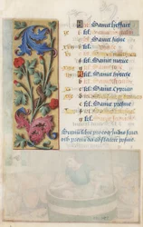 MS Lewis EM 11:22v Blomsterpanel med akantus, pink og larve, fra Louis XII