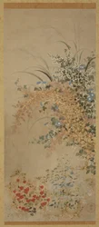 Blomster og græsser