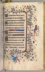 Timebog for Karl den Ædle, konge af Navarra (1361-1425): fol. 216r, Tekst