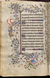 Karl den Ædle, konge af Navarra (1361-1425): fol. 31v, Tekst