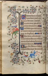 Timebog for Karl den Ædle, konge af Navarra (1361-1425): fol. 76v, Tekst