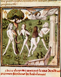 Adam og Eva plukker den forsvarede frugt Miniature of the Master of the Champion of Ladies (1400-tallet) fra manuskriptet "" Des hommes illustres"" af Giovanni Boccaccio (Jean Boccaccio) (1313-1375). 15. århundrede. Carpentras. Inguimbertine Bibliotek
