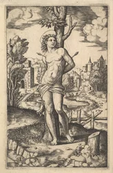 Sankt Sebastian bundet til et træ gennemboret af pile, 1530-60.