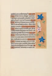 Hours of Dronning Isabella den Katolik, Dronning af Spanien: Fol. 102r, ca. 1500.