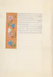 Dronning Isabella den katolske, dronning af Spaniens åbningstider: Fol. 114v, ca. 1500.