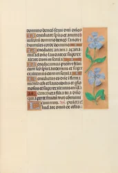 Dronning Isabella den katolske, dronning af Spaniens åbningstider: Fol. 120r, ca. 1500.