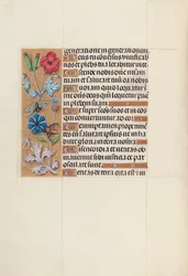 Dronning Isabella den katolske, dronning af Spaniens åbningstider: Fol. 128v, ca. 1500.