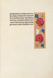 Hours of Dronning Isabella den Katolik, Dronning af Spanien: Fol. 16r, c. 1500.