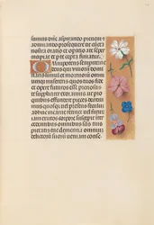 Hours of Dronning Isabella den Katolik, Dronning af Spanien: Fol. 218r, ca. 1500.
