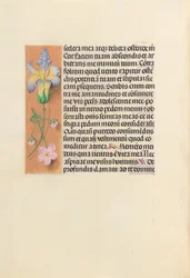 Hours of Dronning Isabella den Katolik, Dronning af Spanien: Fol. 237v, ca. 1500.