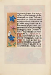 Hours of Dronning Isabella den Katolik, Dronning af Spanien: Fol. 25v, ca. 1500.